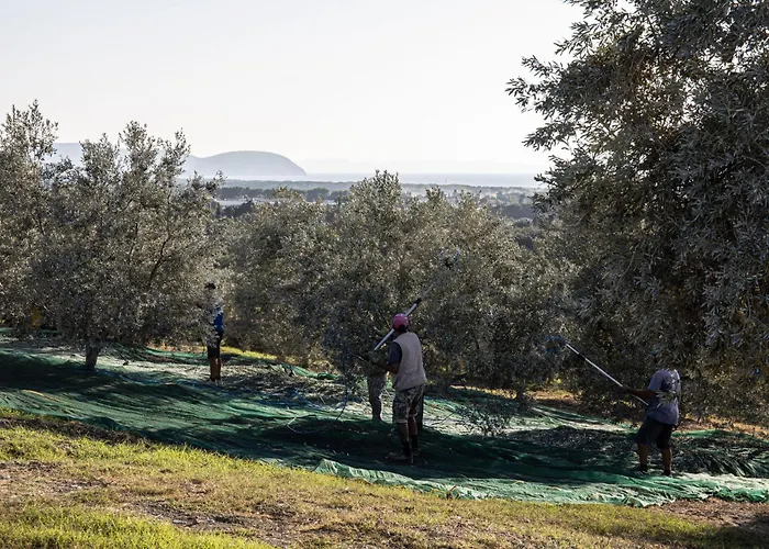 La villa: Agriturismo Podere L'Agave